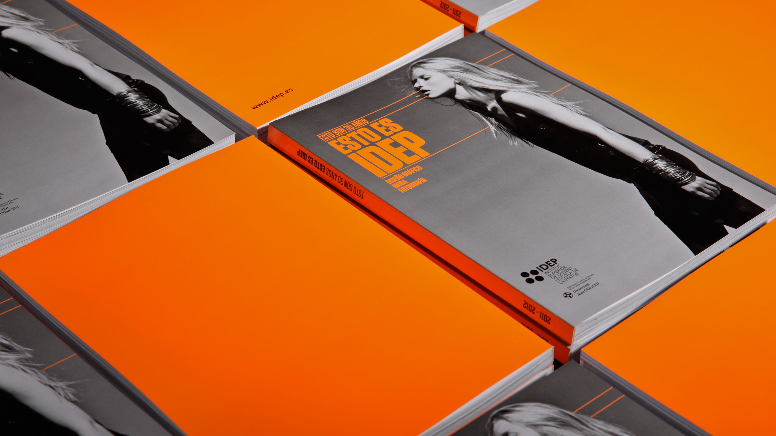 IDEP 30th Anniversary